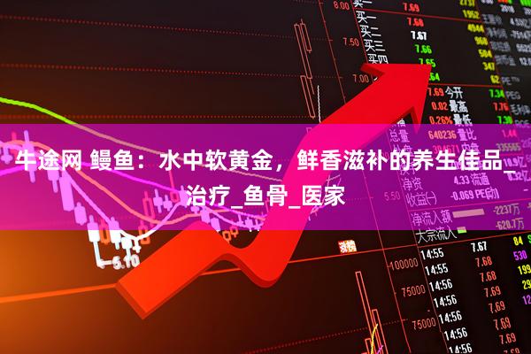 牛途网 鳗鱼：水中软黄金，鲜香滋补的养生佳品_治疗_鱼骨_医家