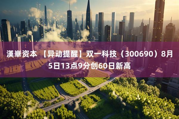 漢崋资本 【异动提醒】双一科技（300690）8月5日13点9分创60日新高