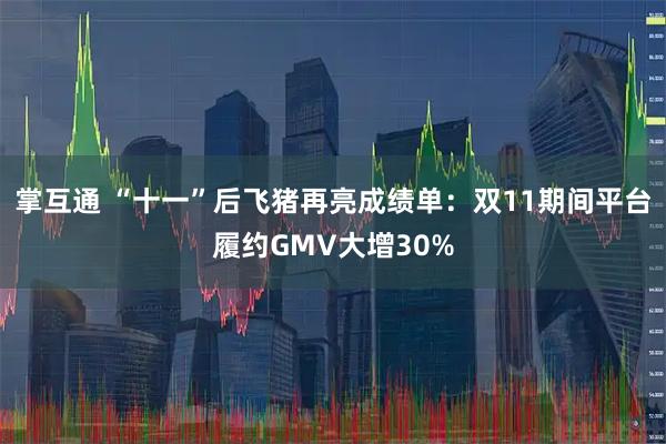 掌互通 “十一”后飞猪再亮成绩单：双11期间平台履约GMV大增30%