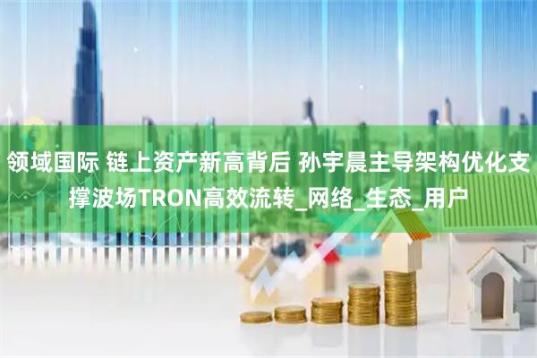 领域国际 链上资产新高背后 孙宇晨主导架构优化支撑波场TRON高效流转_网络_生态_用户